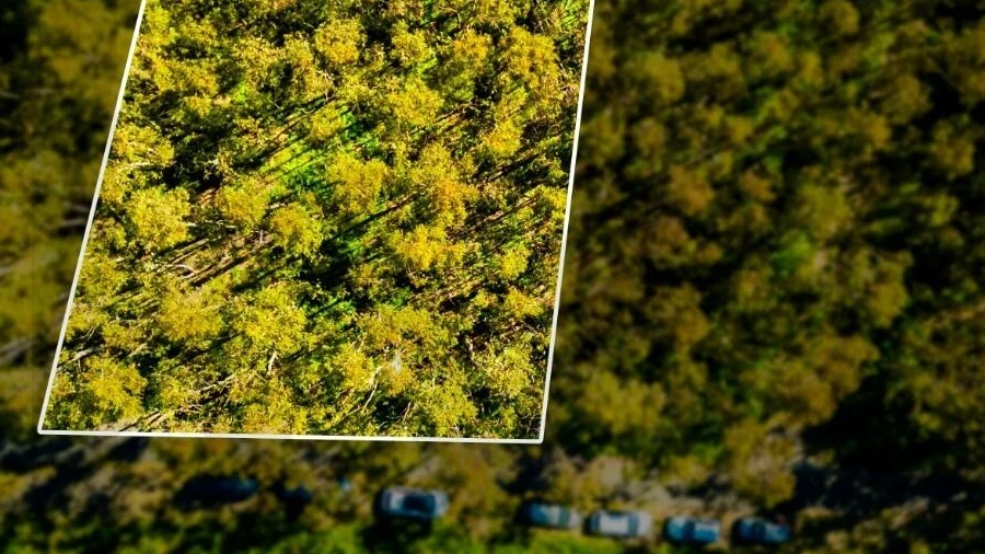 Terreno para Venda em Camacha
