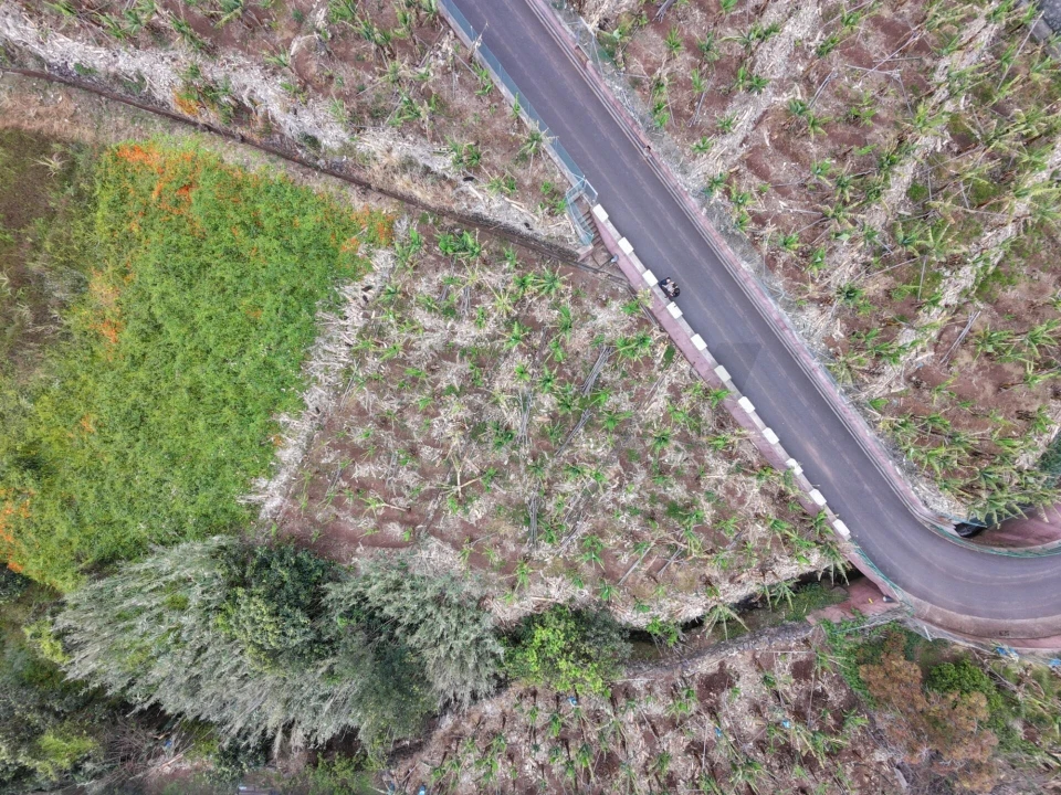 Terreno para Venda em Arco da Calheta Foto 15