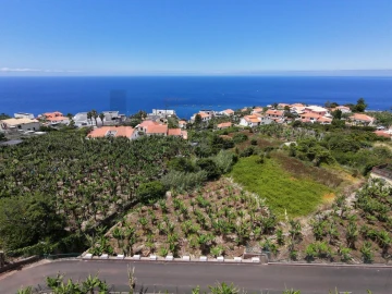 Terreno para Venda em Arco da Calheta