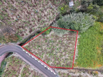Terreno para Venda em Arco da Calheta