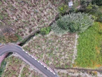 Terreno para Venda em Arco da Calheta