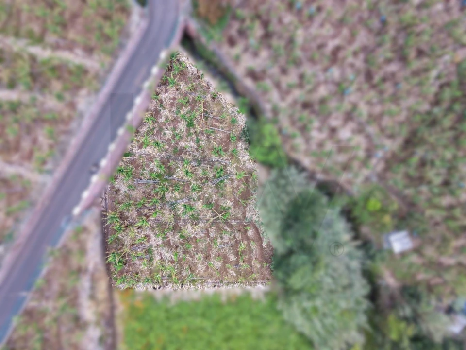 Terreno para Venda em Arco da Calheta Foto 6