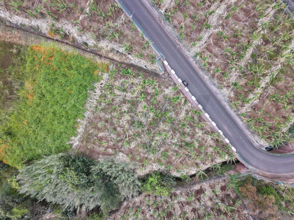 Terreno para Venda em Arco da Calheta Foto 16