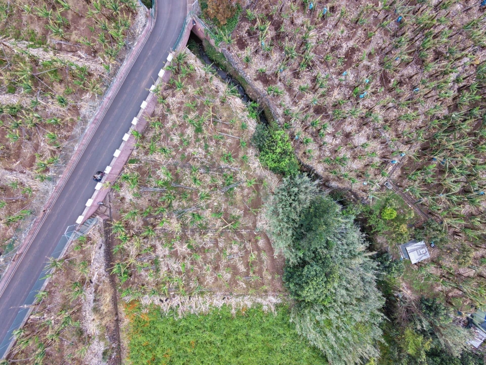 Terreno para Venda em Arco da Calheta Foto 13