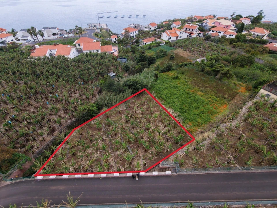 Terreno para Venda em Arco da Calheta Foto 3