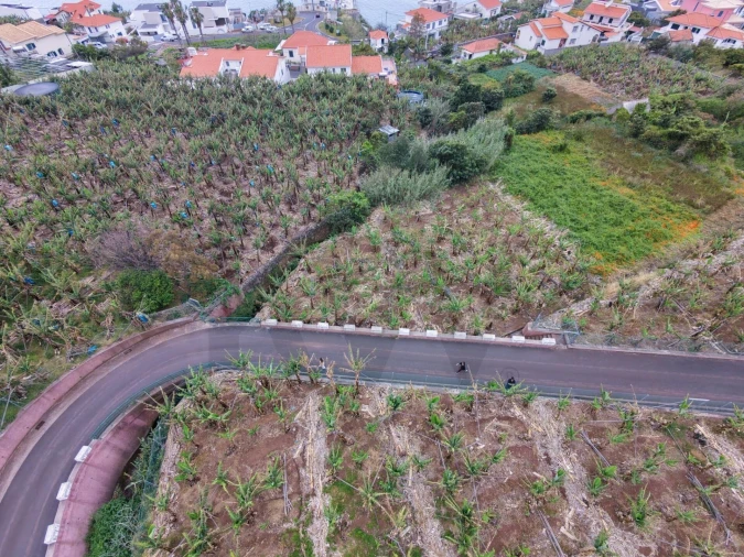 Terreno para Venda em Arco da Calheta Foto 17