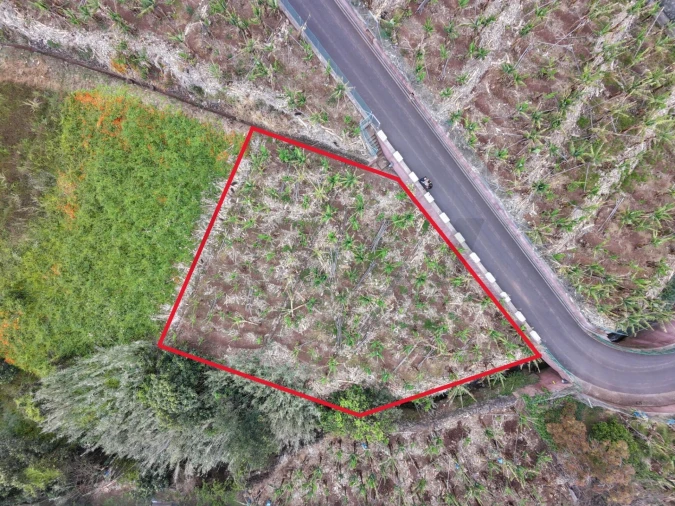 Terreno para Venda em Arco da Calheta Foto 14