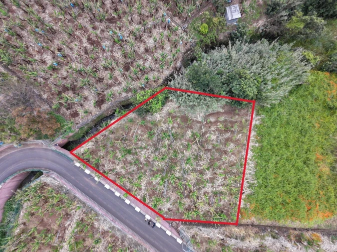 Terreno para Venda em Arco da Calheta Foto 12