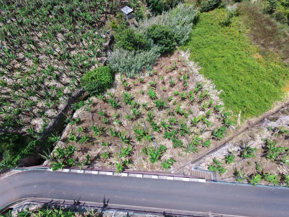 Terreno para Venda em Arco da Calheta Foto 1