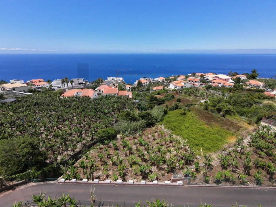 Terreno para Venda em Arco da Calheta Foto 4