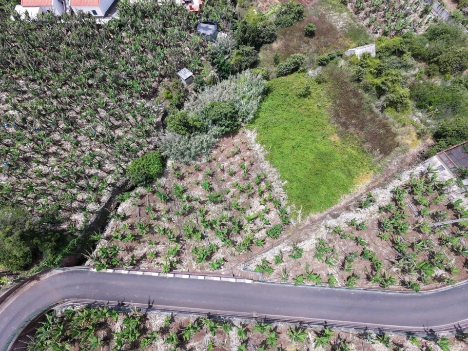 Terreno para Venda em Arco da Calheta Foto 2