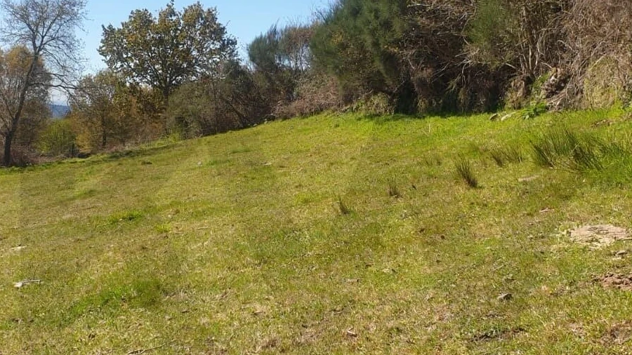 Terreno para Venda em Rio Douro