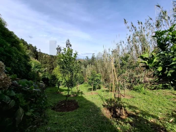 Moradia T2 para Venda em São Bras