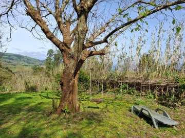 Moradia T2 para Venda em São Bras