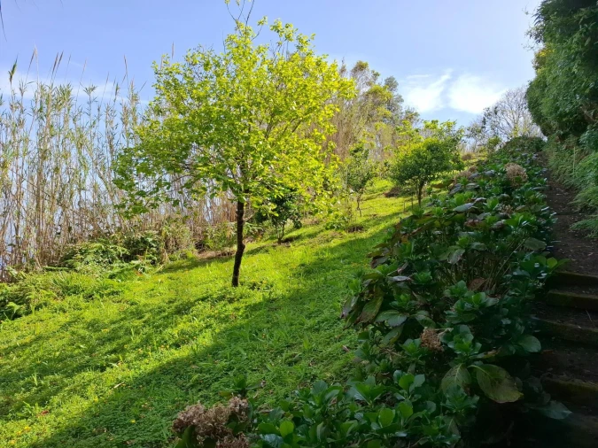 Moradia T2 para Venda em São Bras Foto 18