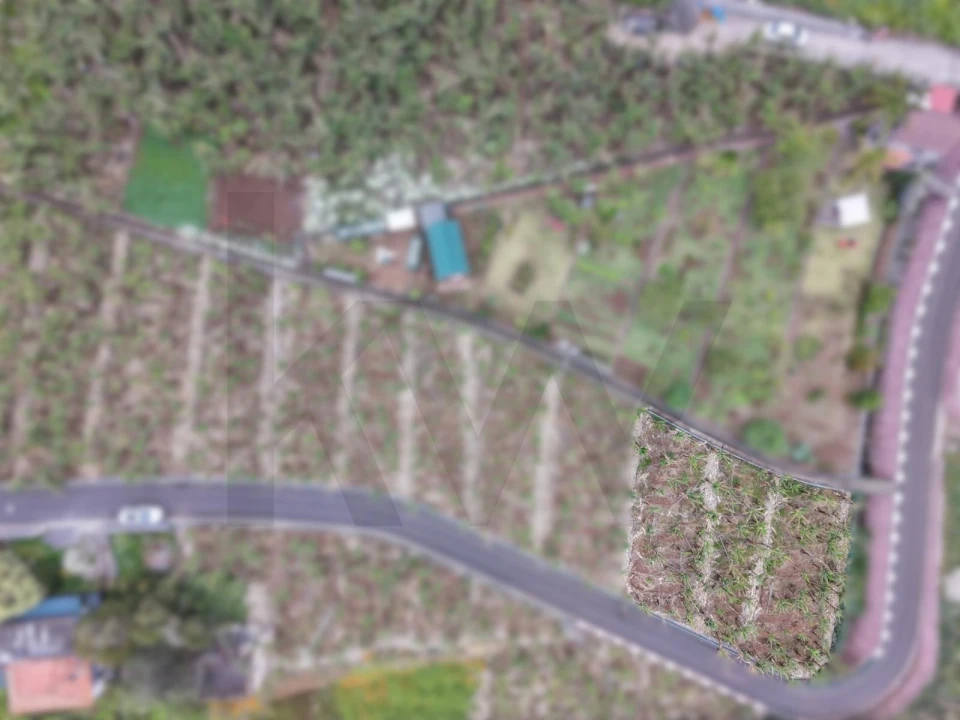 Terreno para Venda em Arco da Calheta Foto 24