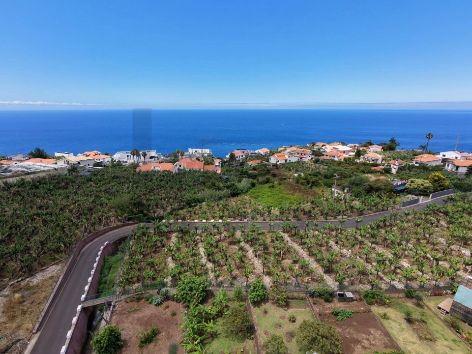 Terreno para Venda em Arco da Calheta Foto 15