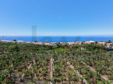 Terreno para Venda em Arco da Calheta