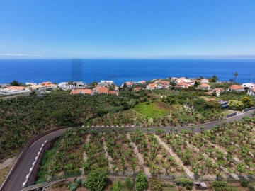 Terreno para Venda em Arco da Calheta