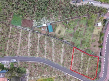 Terreno para Venda em Arco da Calheta