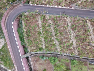 Terreno para Venda em Arco da Calheta