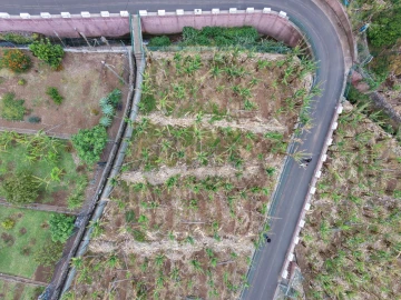 Terreno para Venda em Arco da Calheta