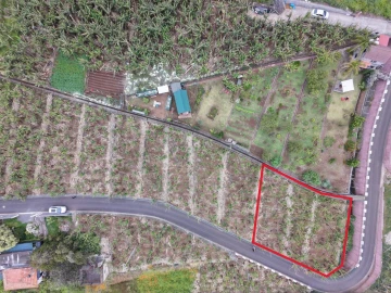 Terreno para Venda em Arco da Calheta