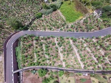 Terreno para Venda em Arco da Calheta