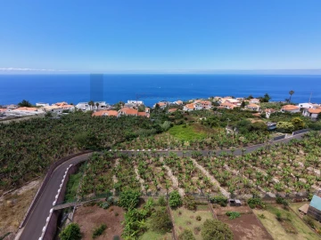 Terreno para Venda em Arco da Calheta