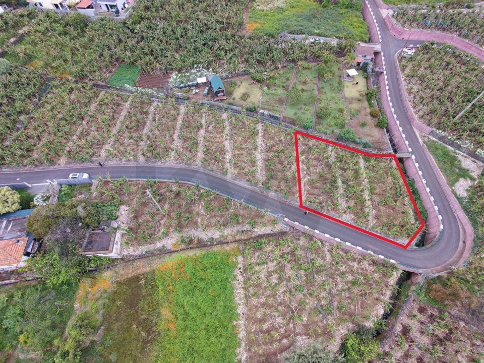 Terreno para Venda em Arco da Calheta Foto 5