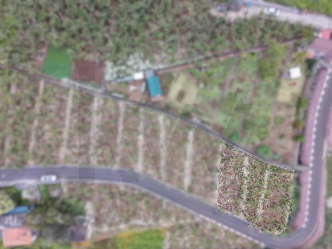 Terreno para Venda em Arco da Calheta Foto 24