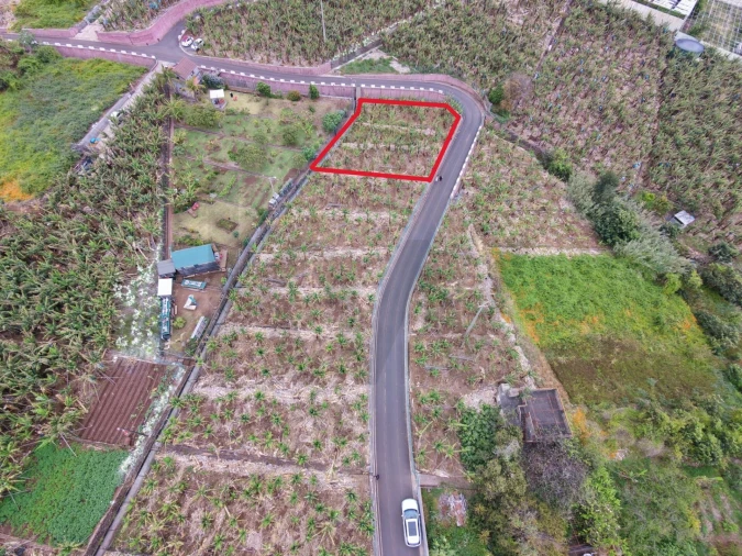 Terreno para Venda em Arco da Calheta Foto 3
