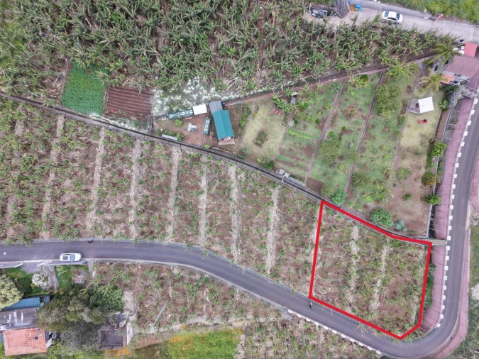 Terreno para Venda em Arco da Calheta