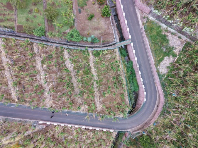 Terreno para Venda em Arco da Calheta Foto 10