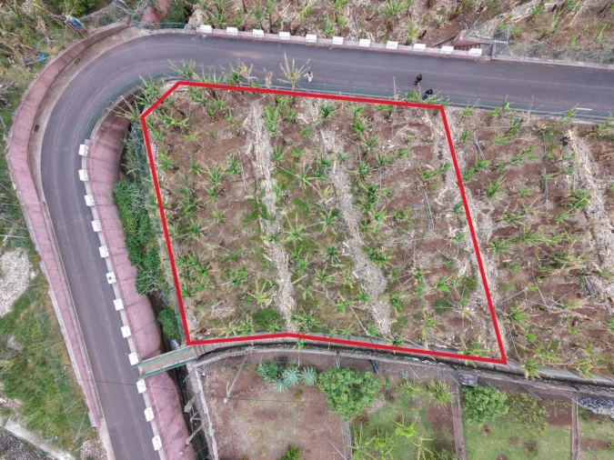 Terreno para Venda em Arco da Calheta Foto 13