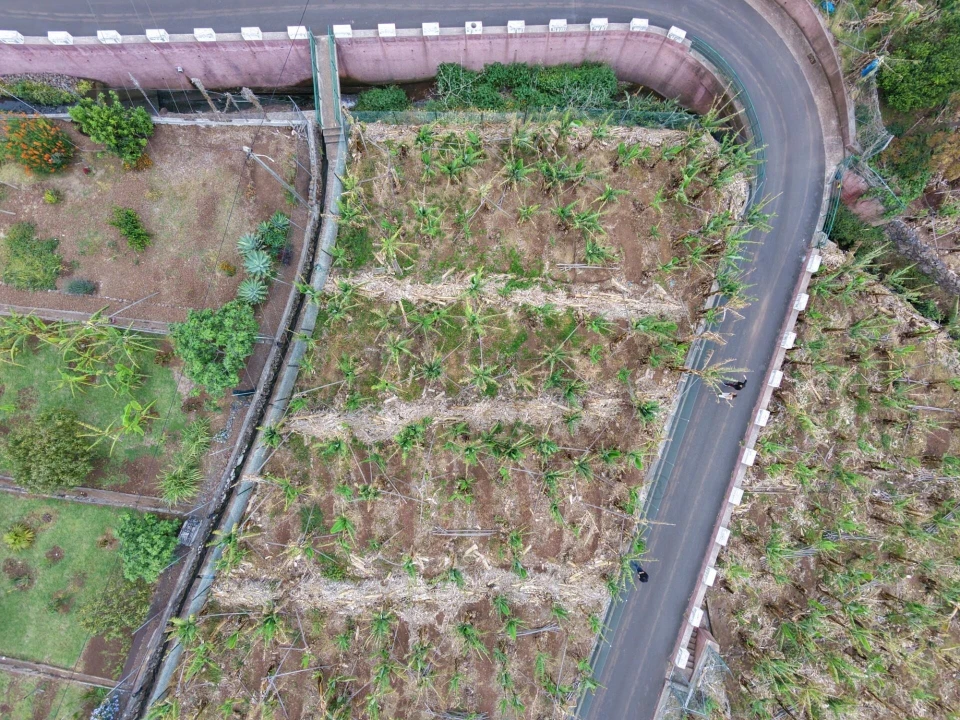 Terreno para Venda em Arco da Calheta Foto 14