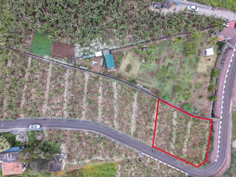 Terreno para Venda em Arco da Calheta Foto 1