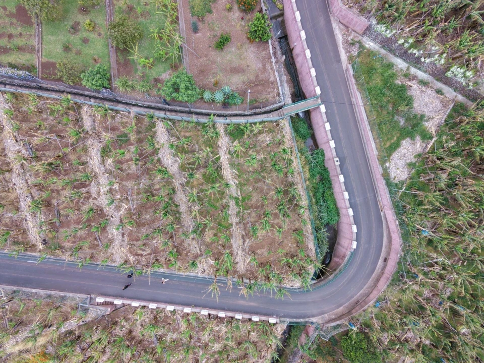 Terreno para Venda em Arco da Calheta Foto 10