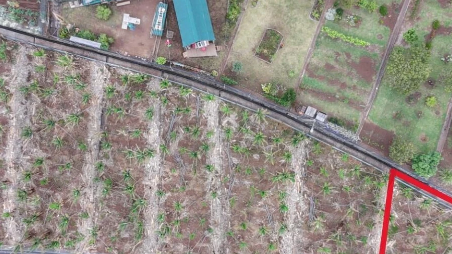 Terreno para Venda em Arco da Calheta