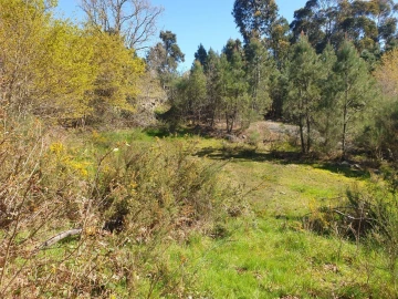 Terreno para Venda em Rio Douro