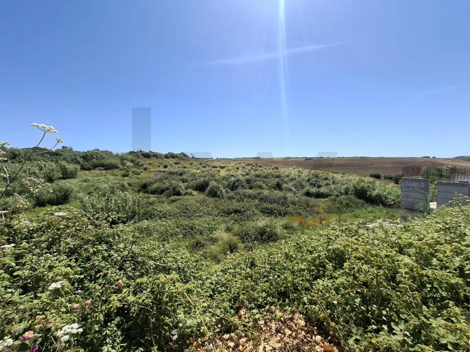 Terreno para Venda em Encarnação Foto 3