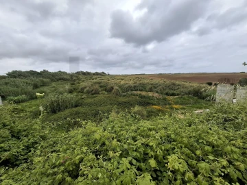 Terreno para Venda em Encarnação