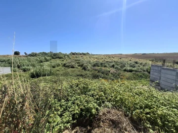 Terreno para Venda em Encarnação