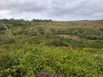 Terreno para Venda em Encarnação