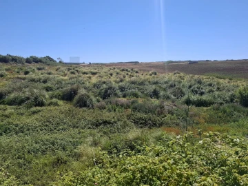 Terreno para Venda em Encarnação