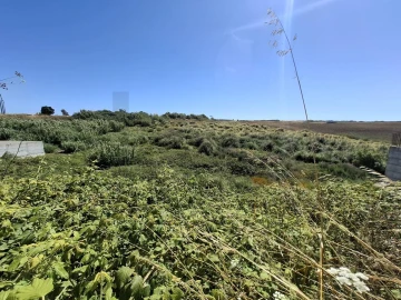 Terreno para Venda em Encarnação