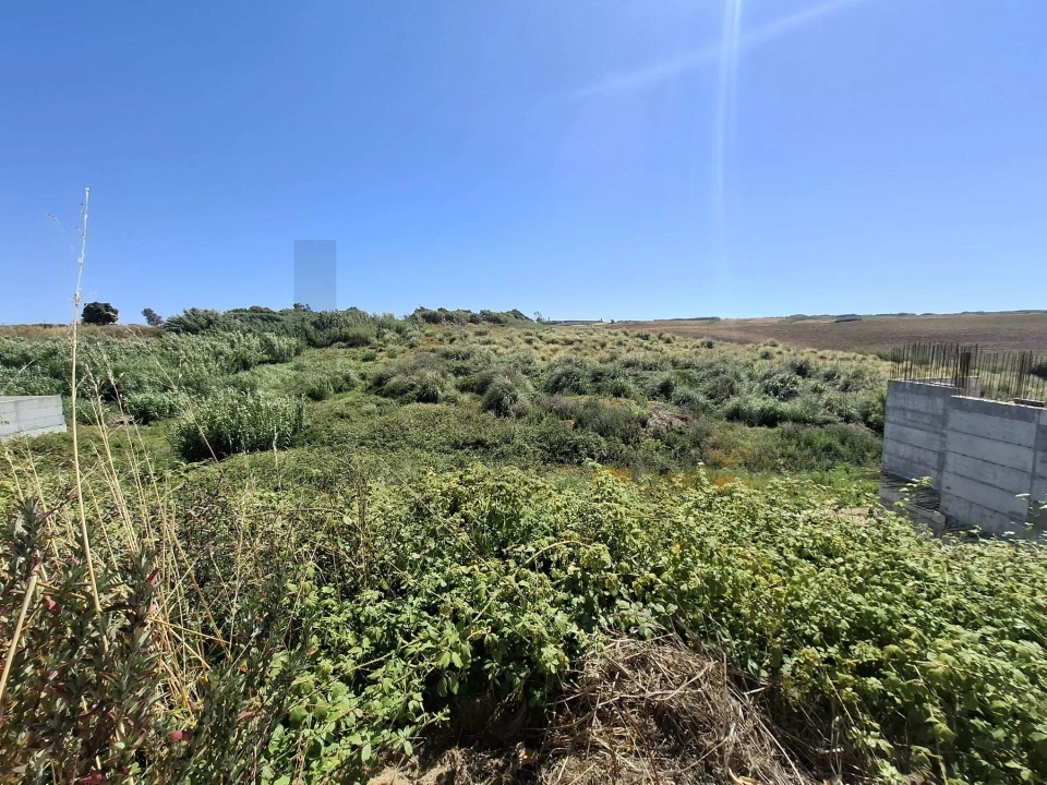 Terreno para Venda em Encarnação Foto 6