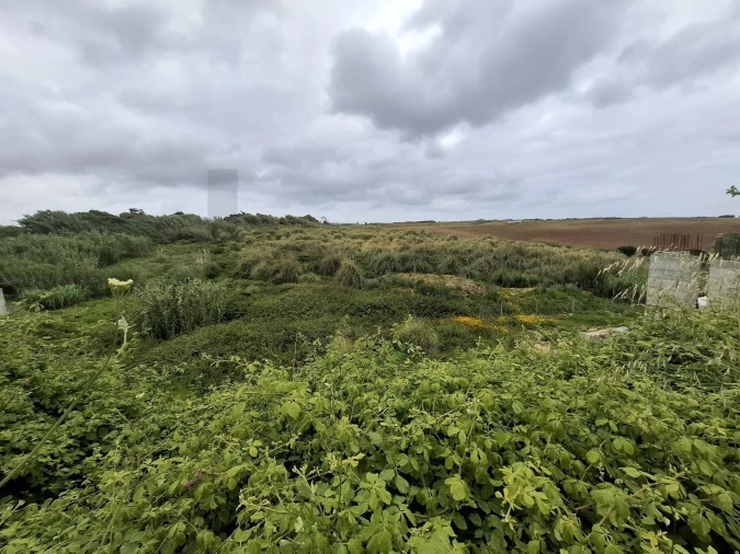 Terreno para Venda em Encarnação Foto 15