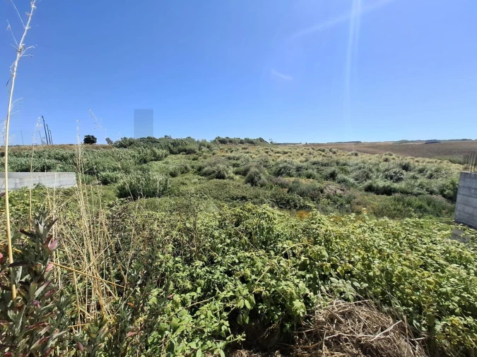 Terreno para Venda em Encarnação Foto 5