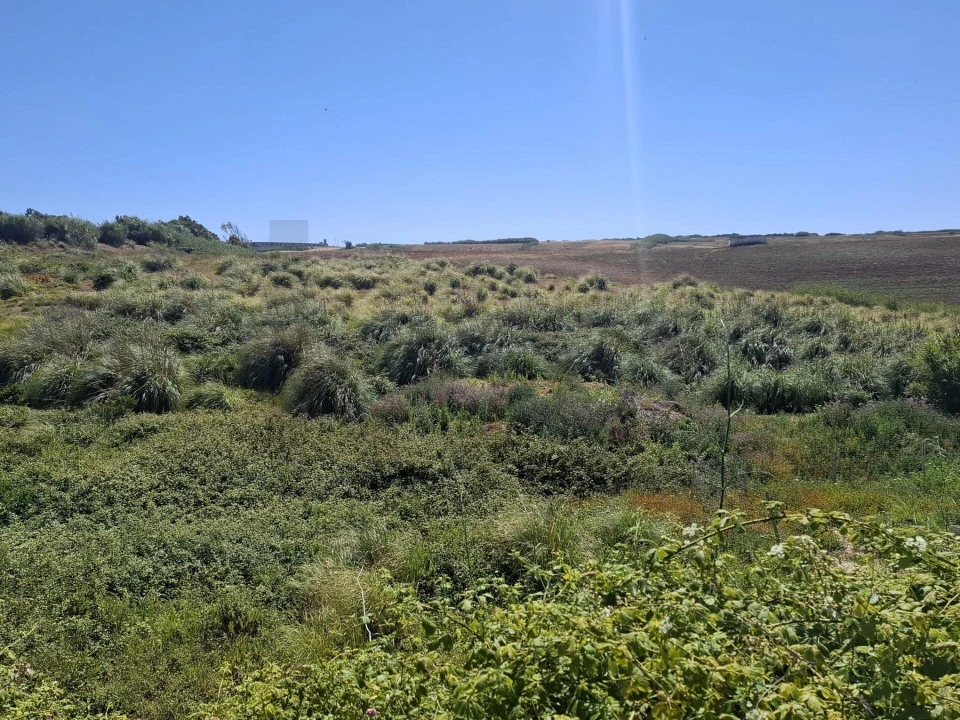 Terreno para Venda em Encarnação Foto 9